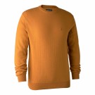 Golden Oak 649 thumbnail