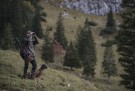Dyp grønn 388 thumbnail