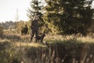 Dyp grønn 388 thumbnail