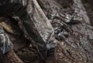 Realtree 46 thumbnail