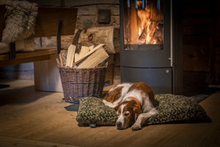 Germania Dog Blanket