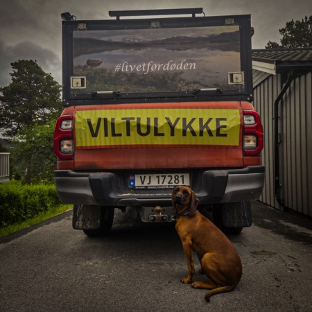 VILTULYKKE 